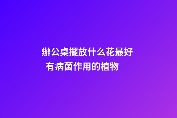 辦公桌擺放什么花最好   有病菌作用的植物